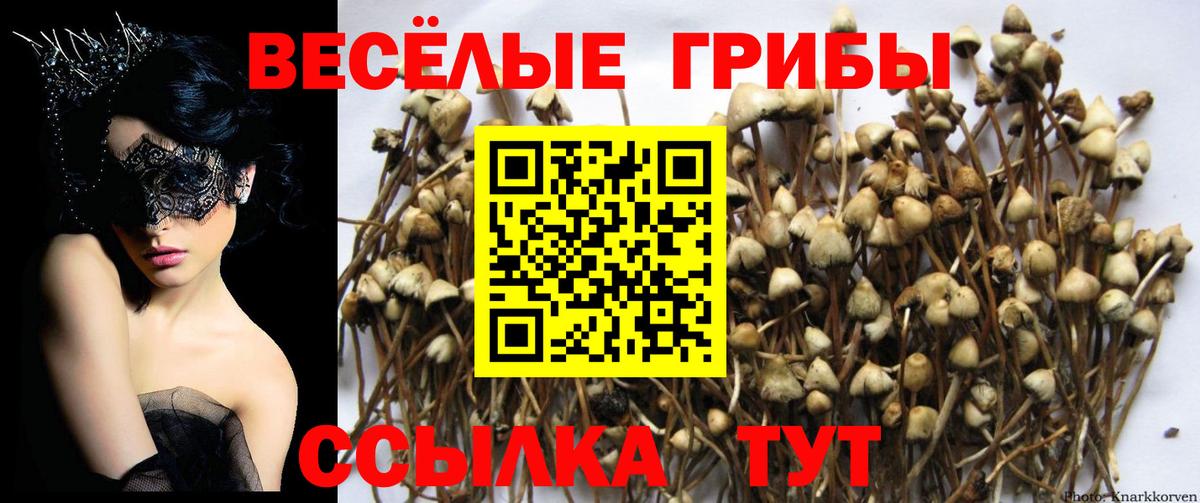 Псилоцибиновые грибы Magic Shrooms Спасск-Дальний